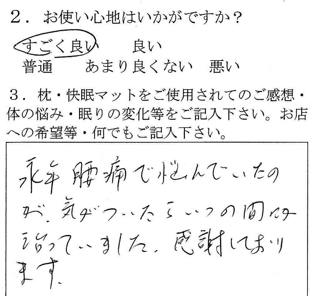 整圧の感想　腰痛がいつの間にか治っていました